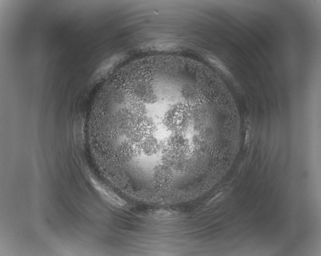 X0000081610542200701151408