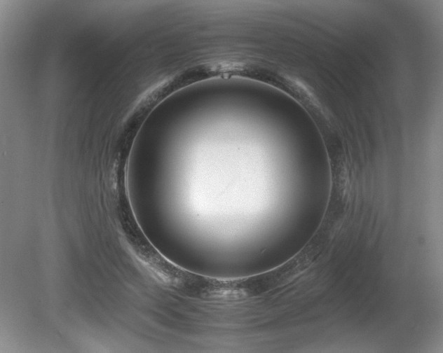 X0000081610543200701151408