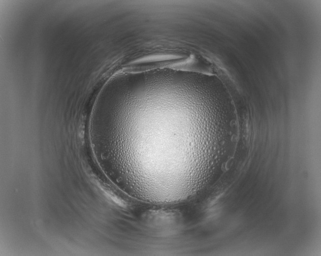 X0000081610545200701151408