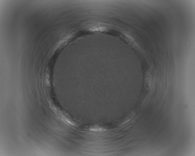 X0000081610547200701151408