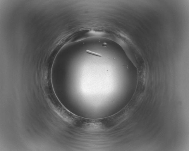 X0000081610548200701151408