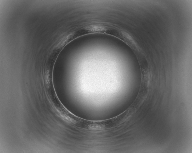 X0000081610549200701151408