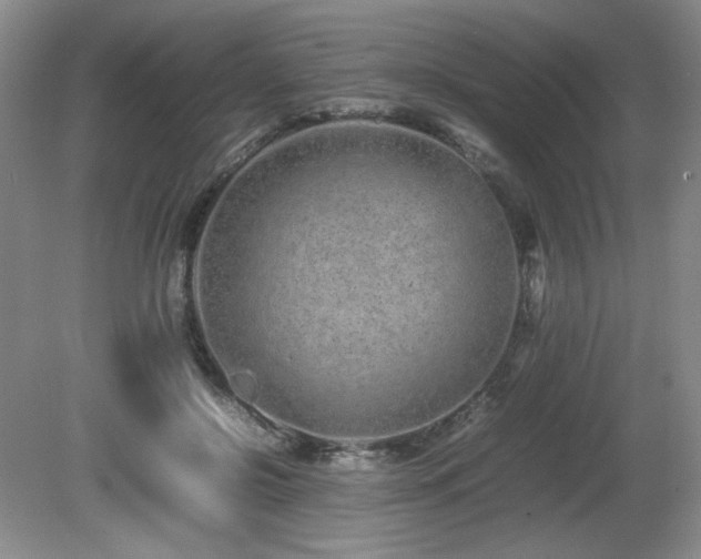 X0000081610550200701151408