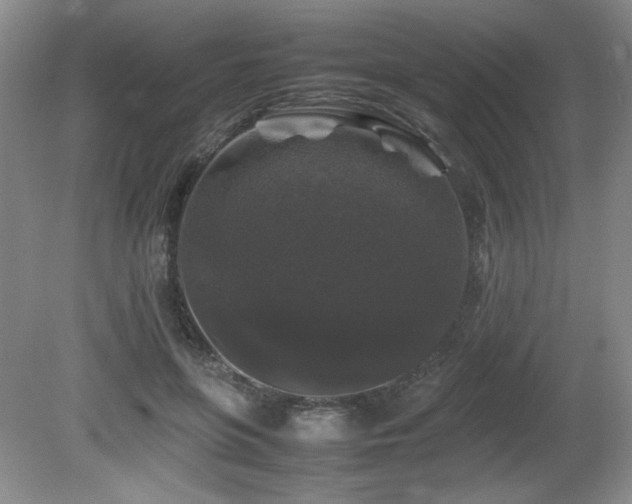 X0000081610551200701151408