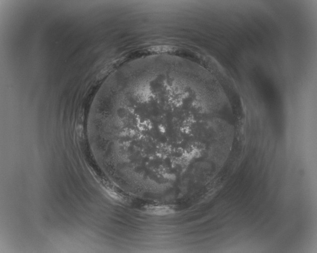 X0000081610553200701151408