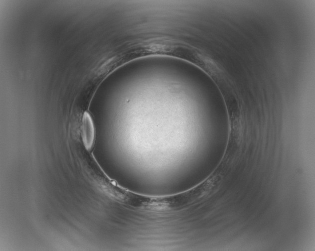 X0000081610554200701151408