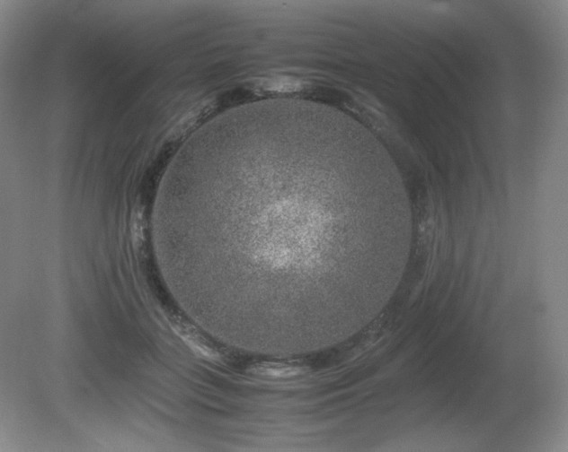 X0000081610555200701151408