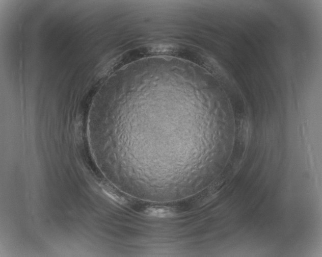 X0000081610557200701151408