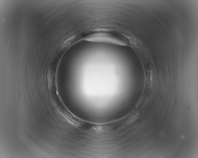 X0000081610558200701151408