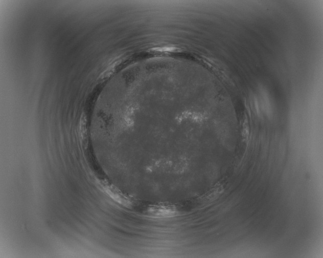 X0000081610559200701151408