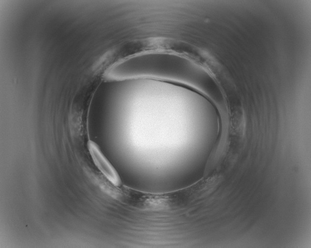 X0000081610560200701151408