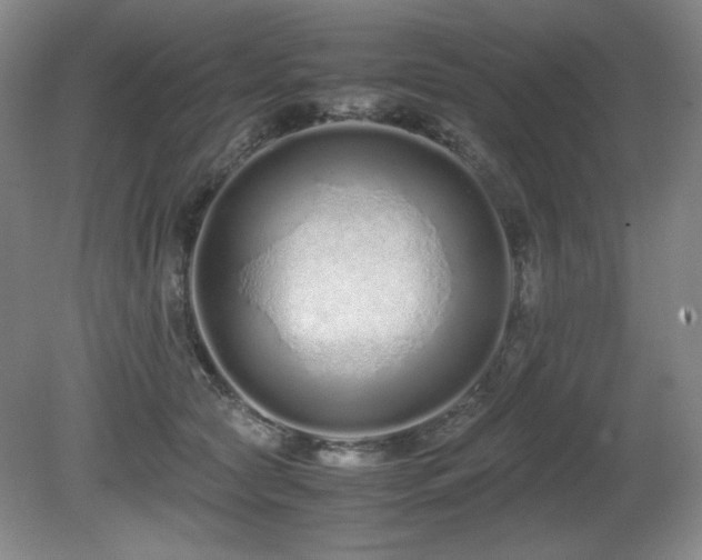 X0000081610561200701151408