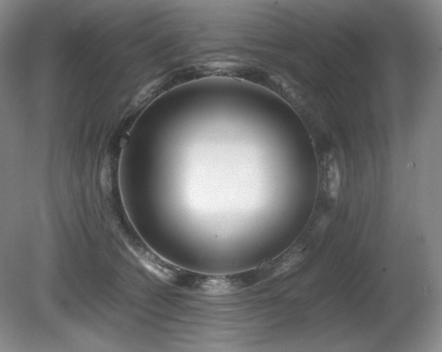 X0000081610562200701151408