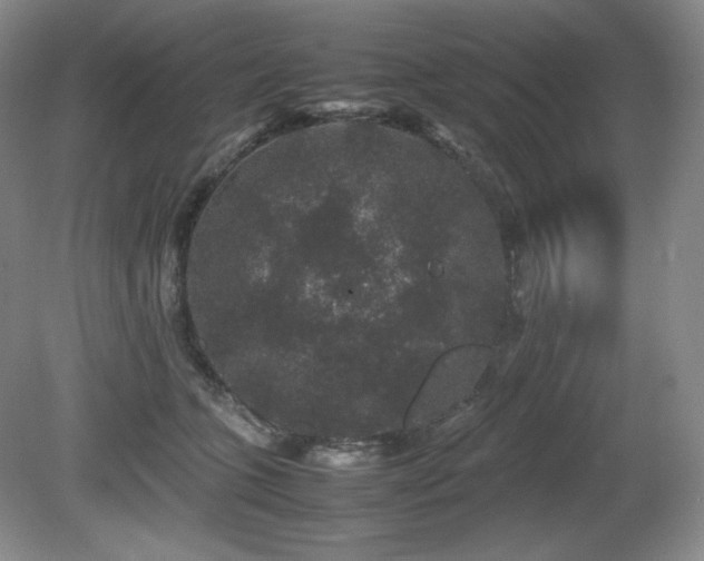 X0000081610563200701151408