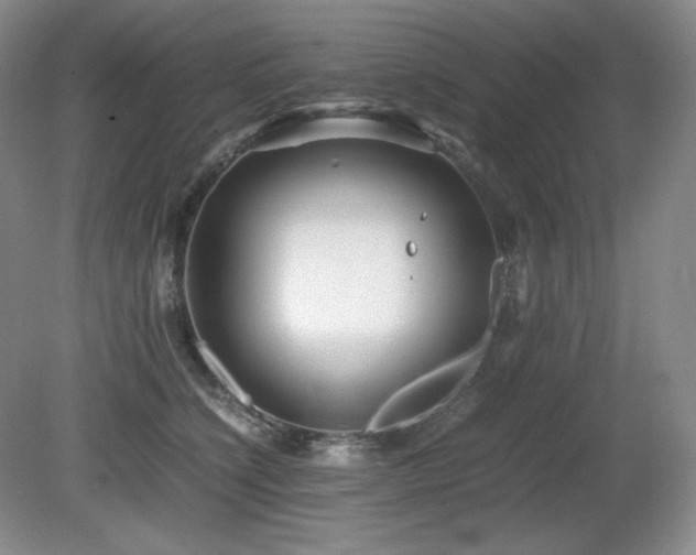 X0000081610564200701151408