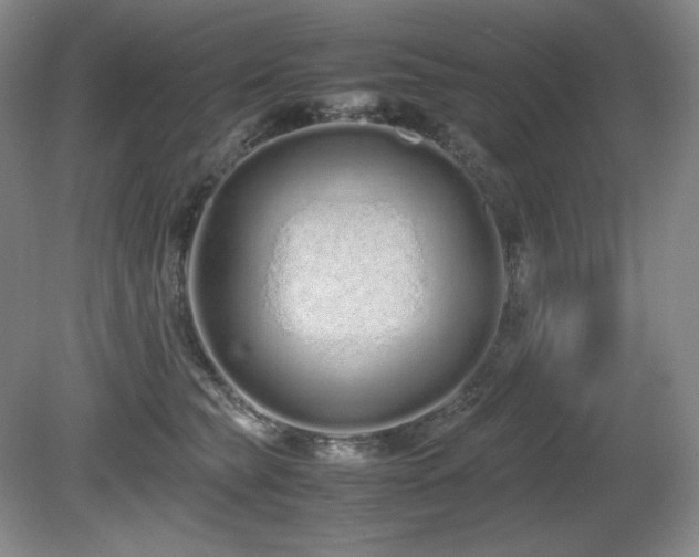 X0000081610565200701151408