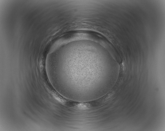 X0000081610566200701151408