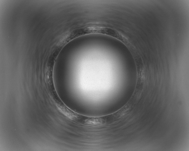 X0000081610567200701151408