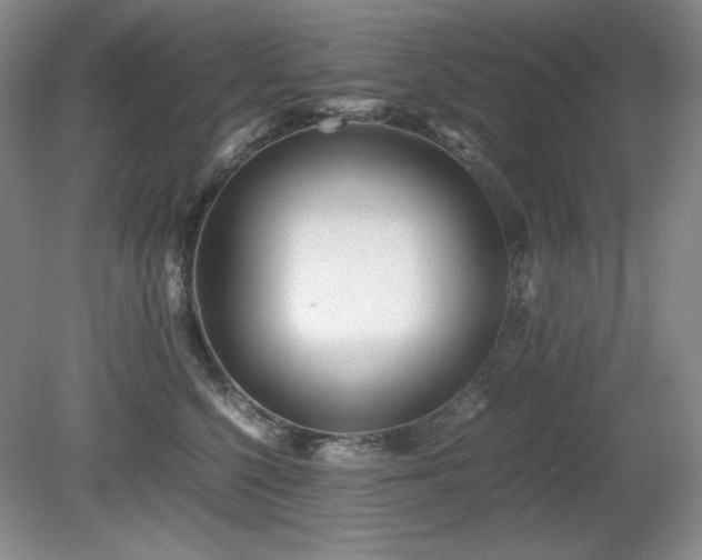 X0000081610568200701151408