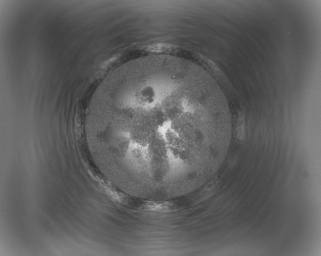 X0000081610569200701151408