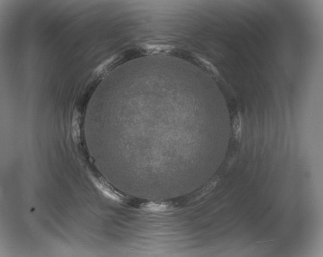 X0000081610570200701151408