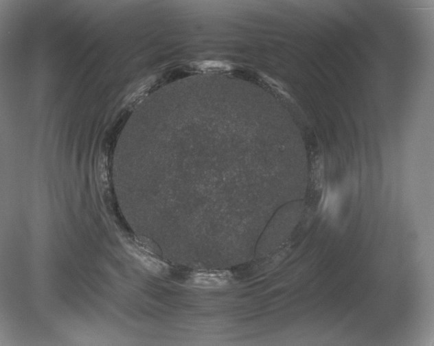 X0000081610571200701151408