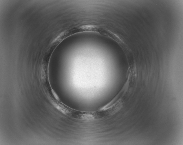 X0000081610572200701151408