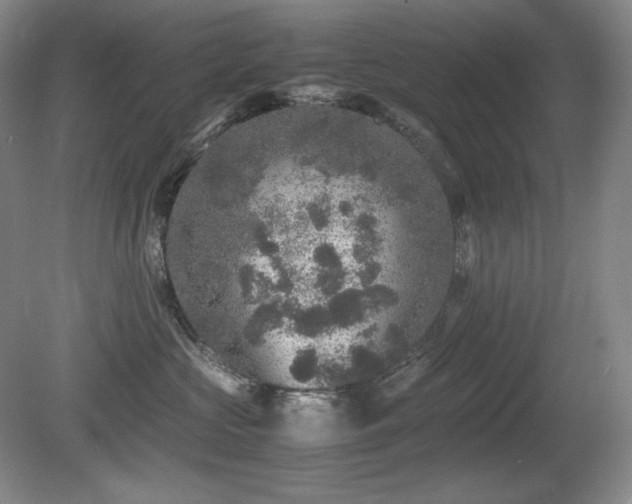 X0000081610573200701151408