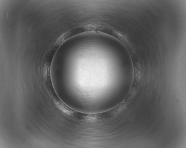 X0000081610574200701151408