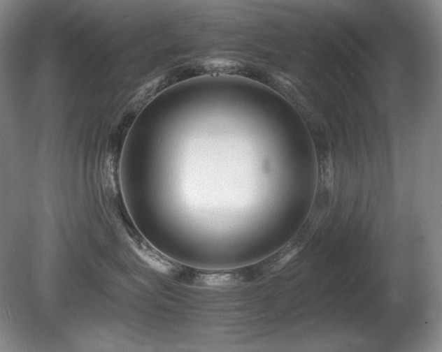 X0000081610575200701151408