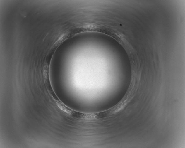 X0000081610576200701151408