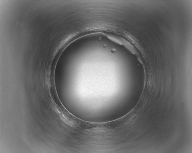 X0000081610578200701151408