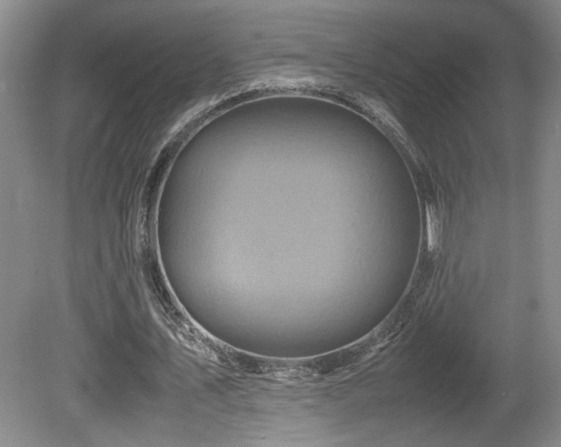 X0000081610579200701151407