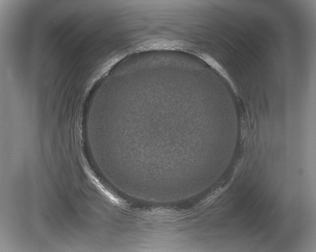 X0000081610581200701151407