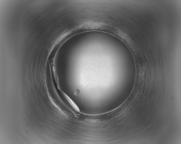 X0000081610582200701151407