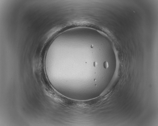 X0000081610583200701151407