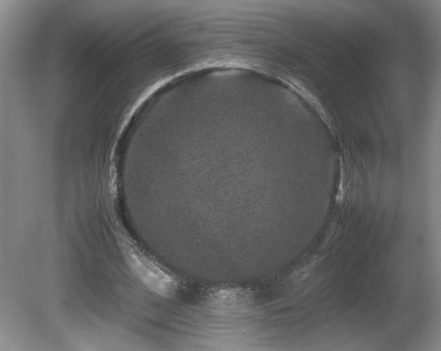 X0000081610584200701151407