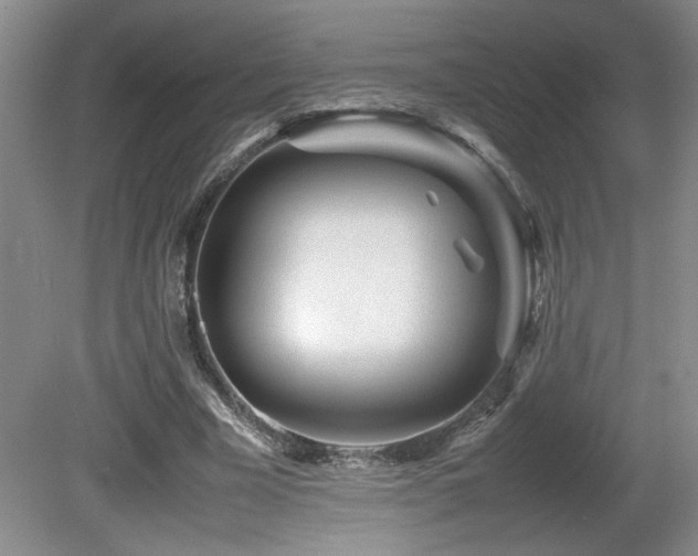 X0000081610585200701151407