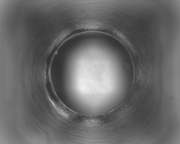 X0000081610586200701151407