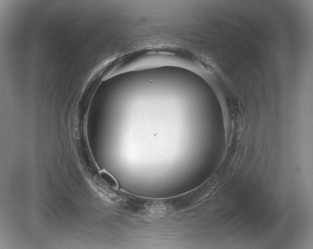 X0000081610587200701151407