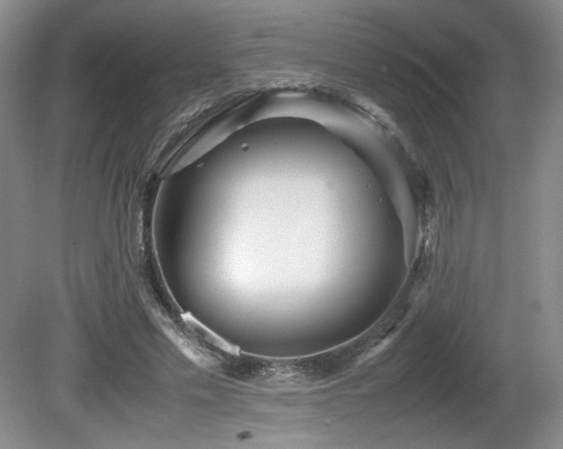 X0000081610589200701151407