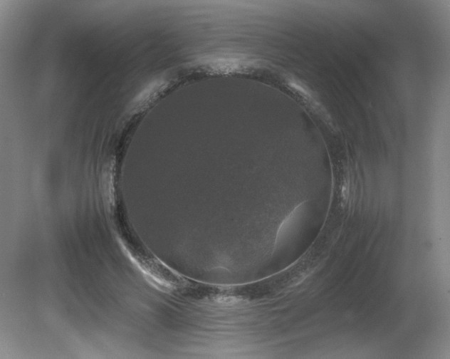 X0000081610590200701151407