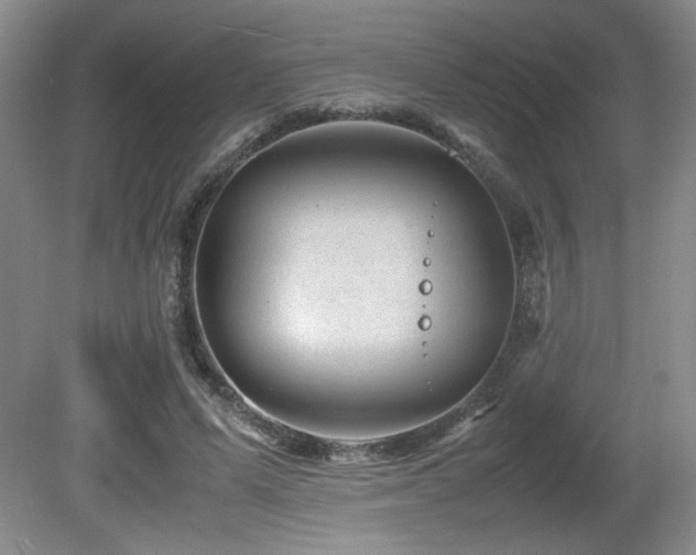 X0000081610591200701151407