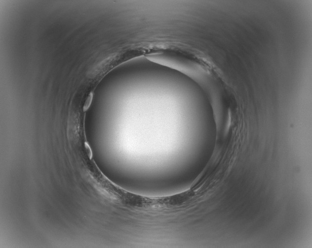 X0000081610593200701151407