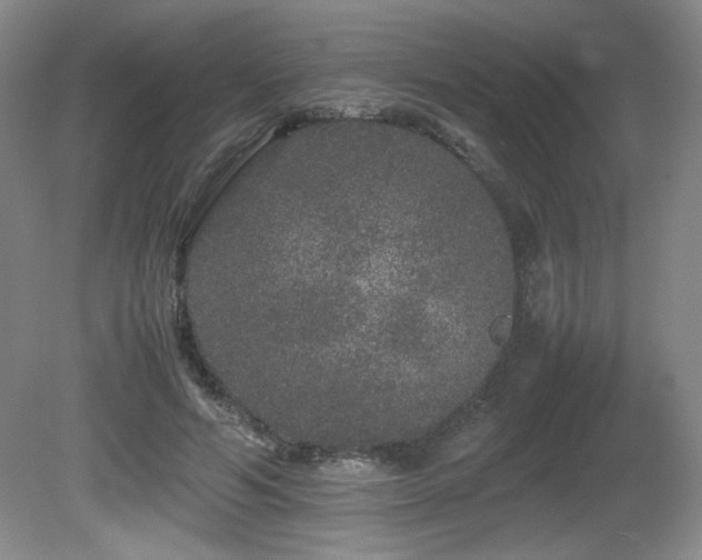 X0000081610594200701151407