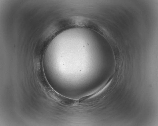 X0000081610595200701151407