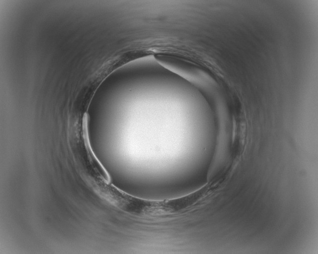 X0000081610597200701151407