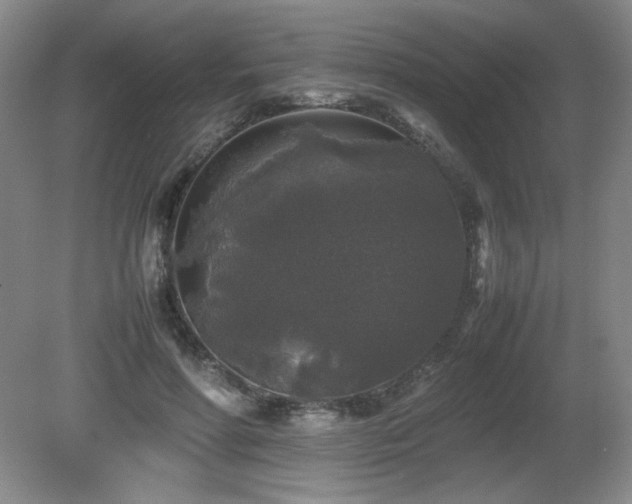 X0000081610598200701151407