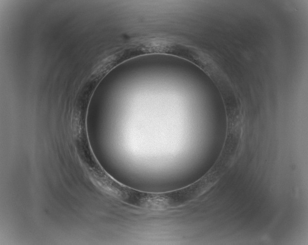 X0000081610599200701151407