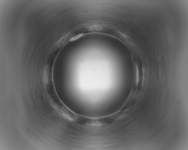 X0000081610600200701151407